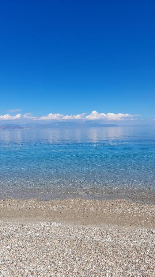 Akrata Rose Garden Apartments I Paralia Akratas Buitenkant foto